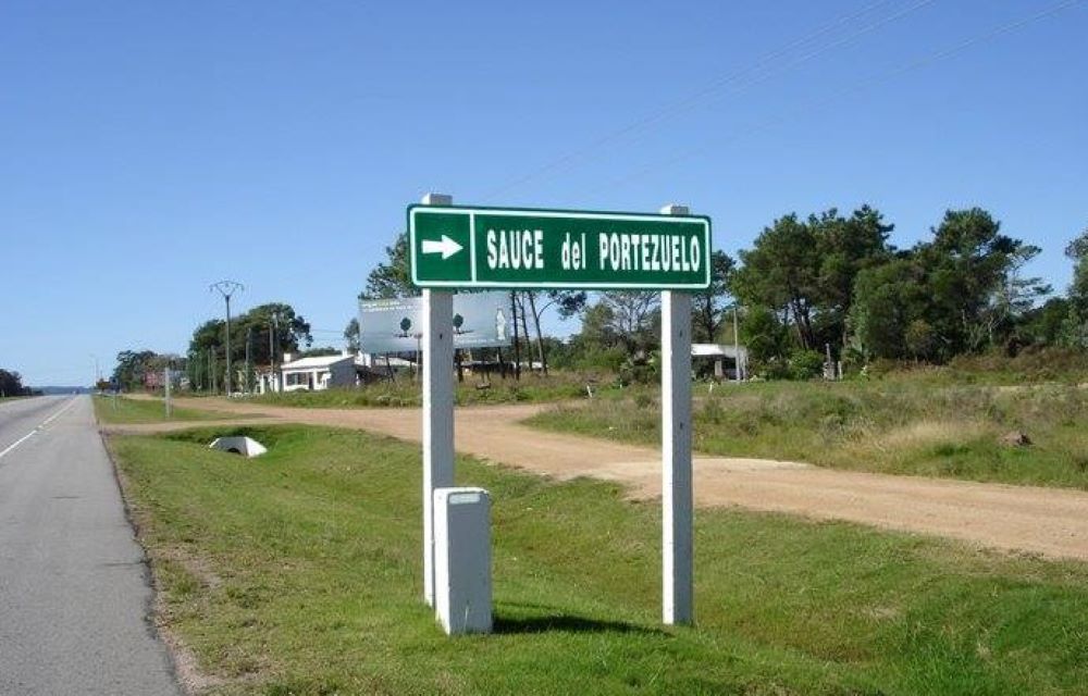 Vista Sauce de Portezuelo